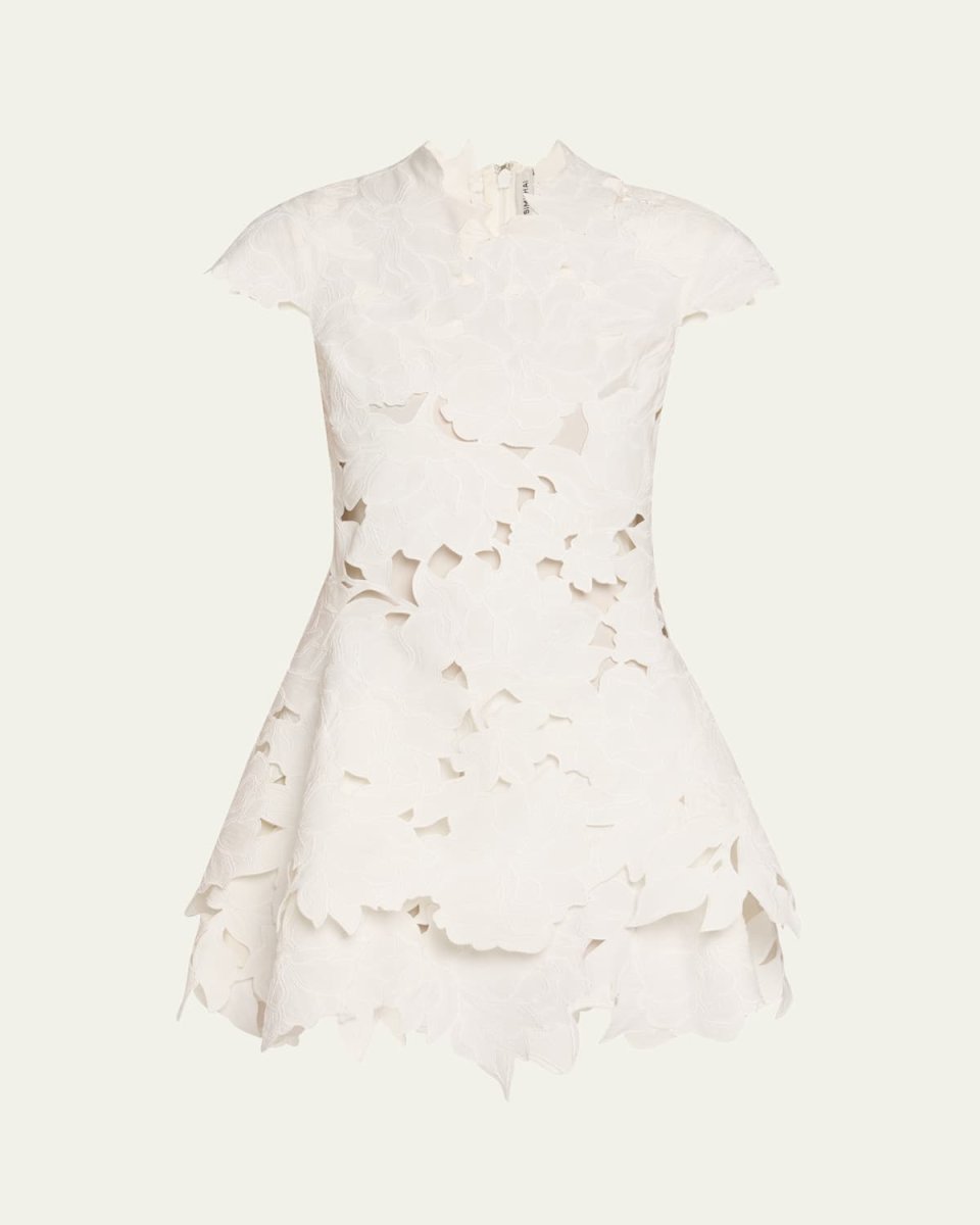 Holloway Embroidered Mini Dress
